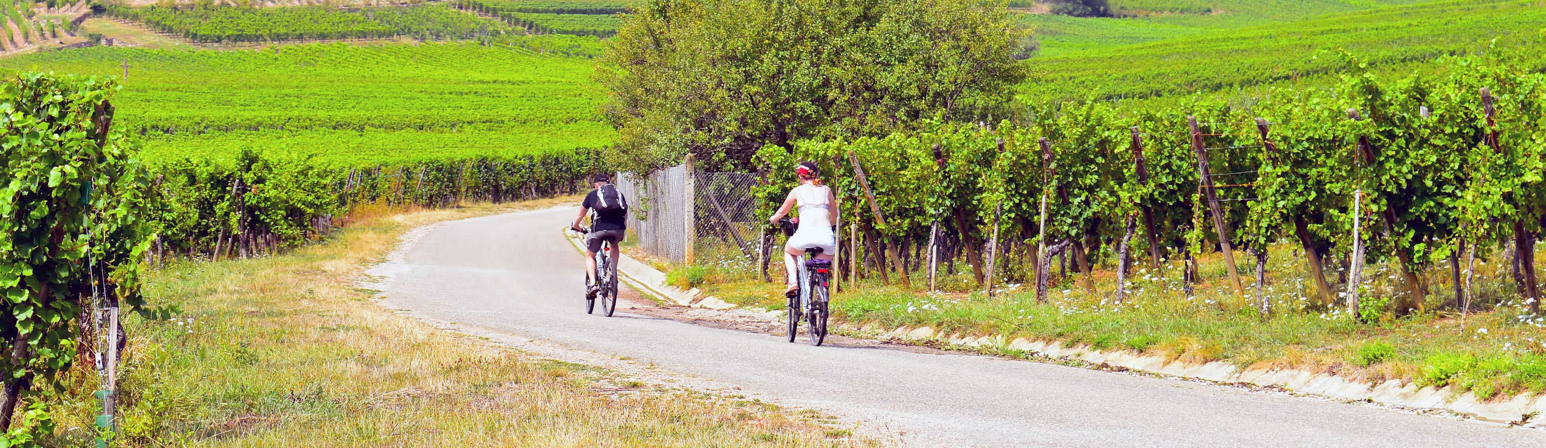 Эльзасский край на велосипеде