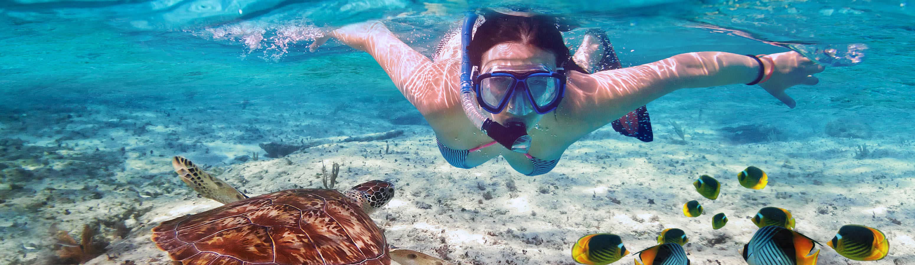 Egitto – un paradiso per i subacquei e gli amanti dello snorkeling