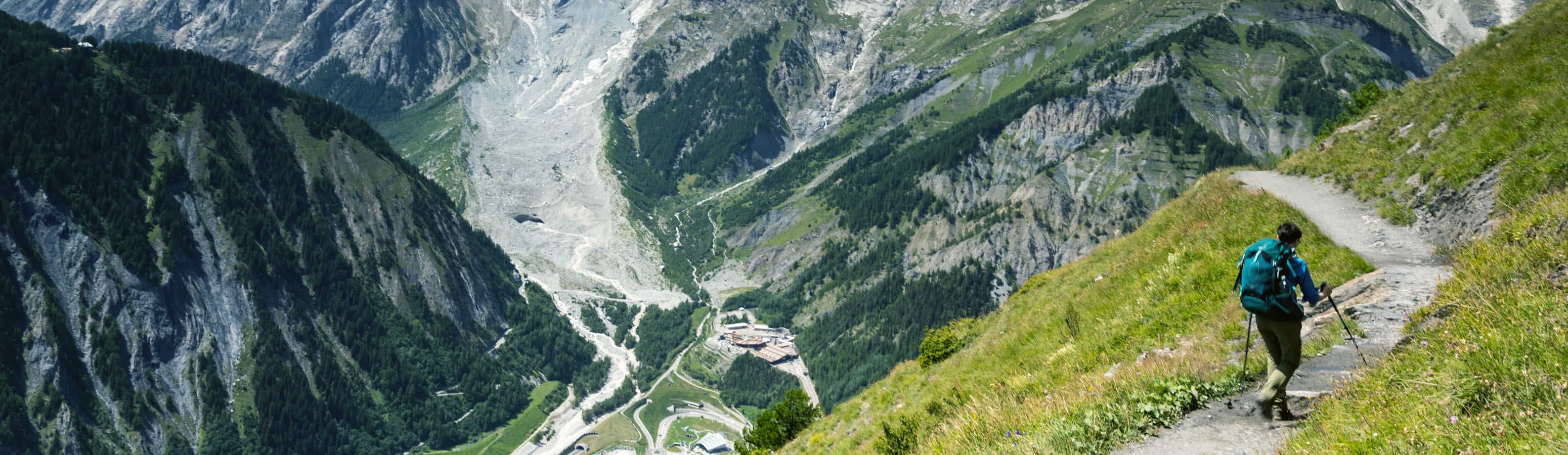 Кошки и решимость, будьте готовы подняться на Mt. Blanc