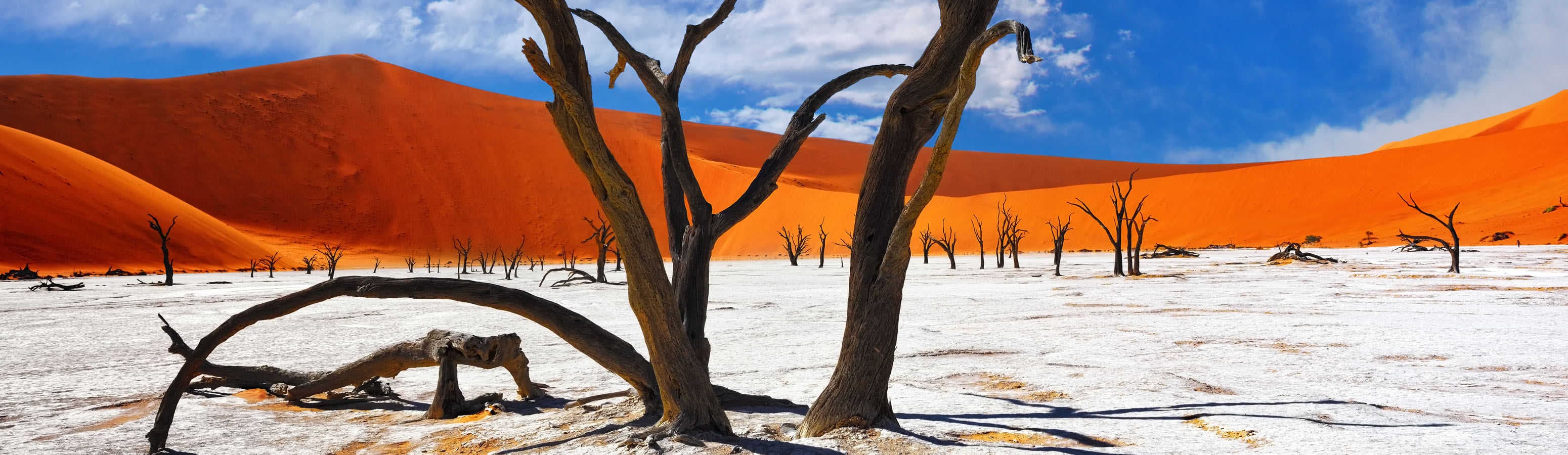 Самые красивые пустыни мира, которые вы должны увидеть