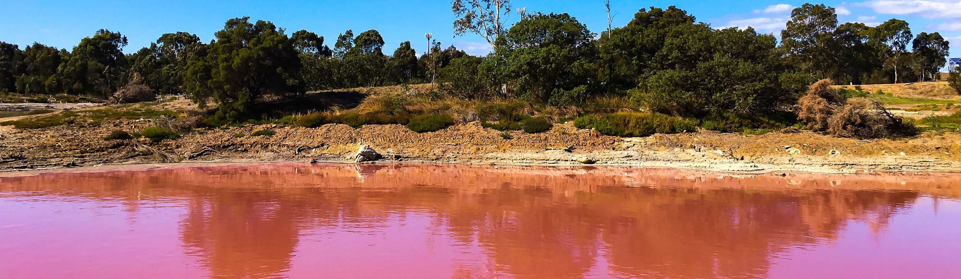 Pink Lake Hilier in Australia Must See!