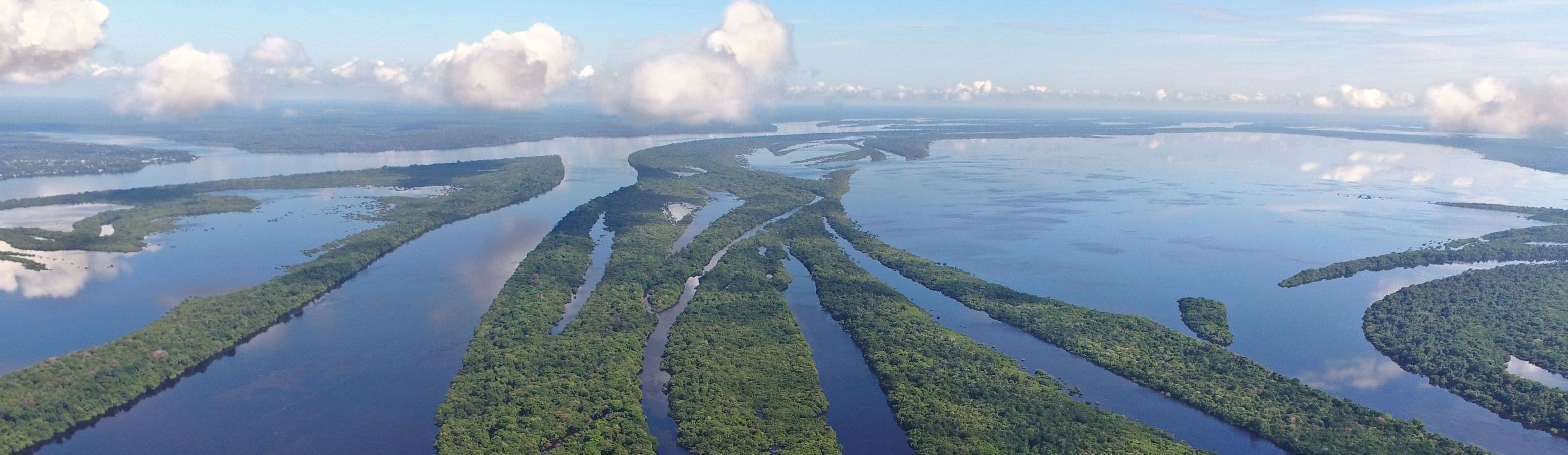 Az Amazonas-erdőig